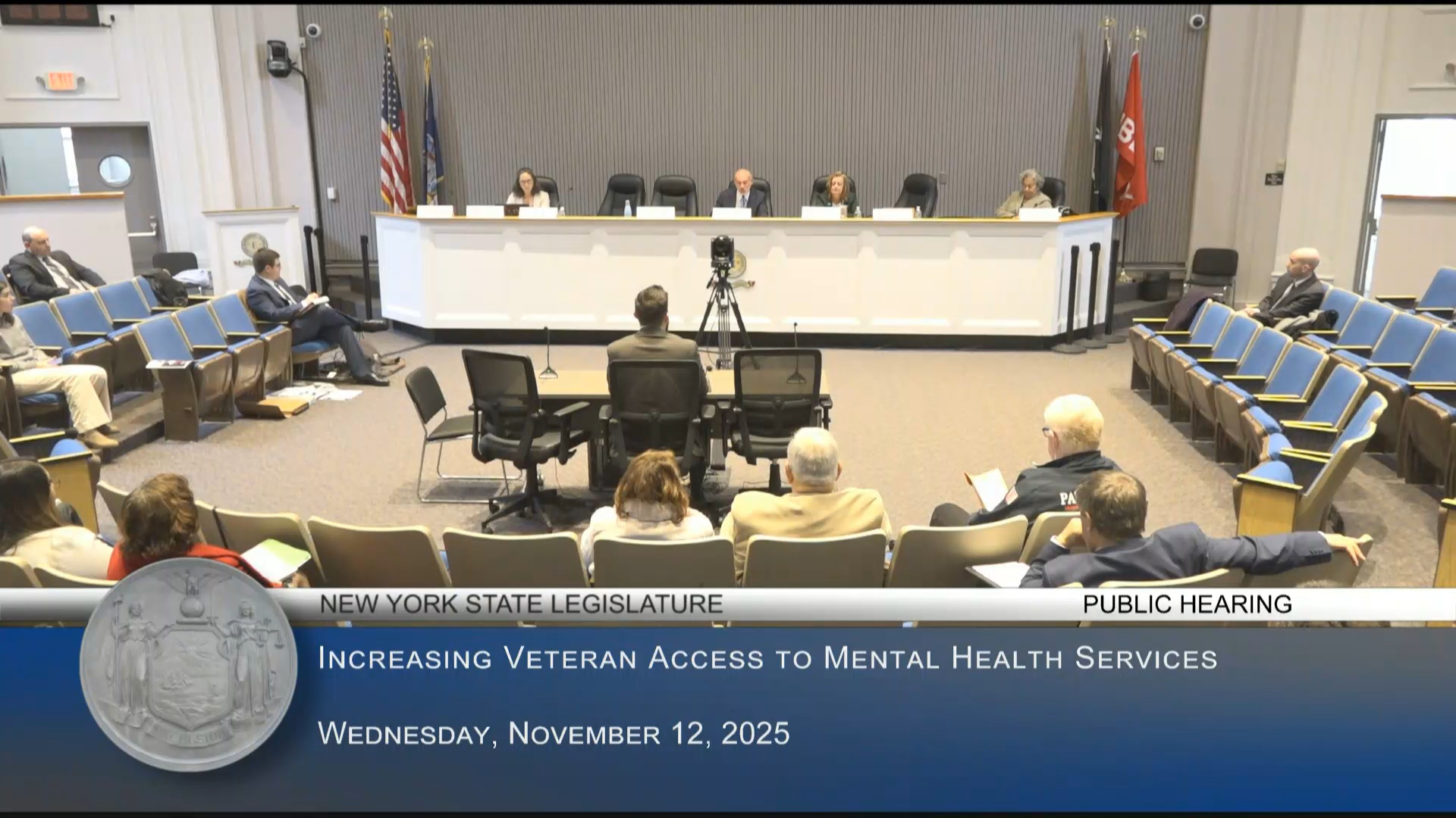 NY Health Foundation Spokesperson Testifies at Public Hearing on Ways to Increase Veterans’ Access to Mental Health Services