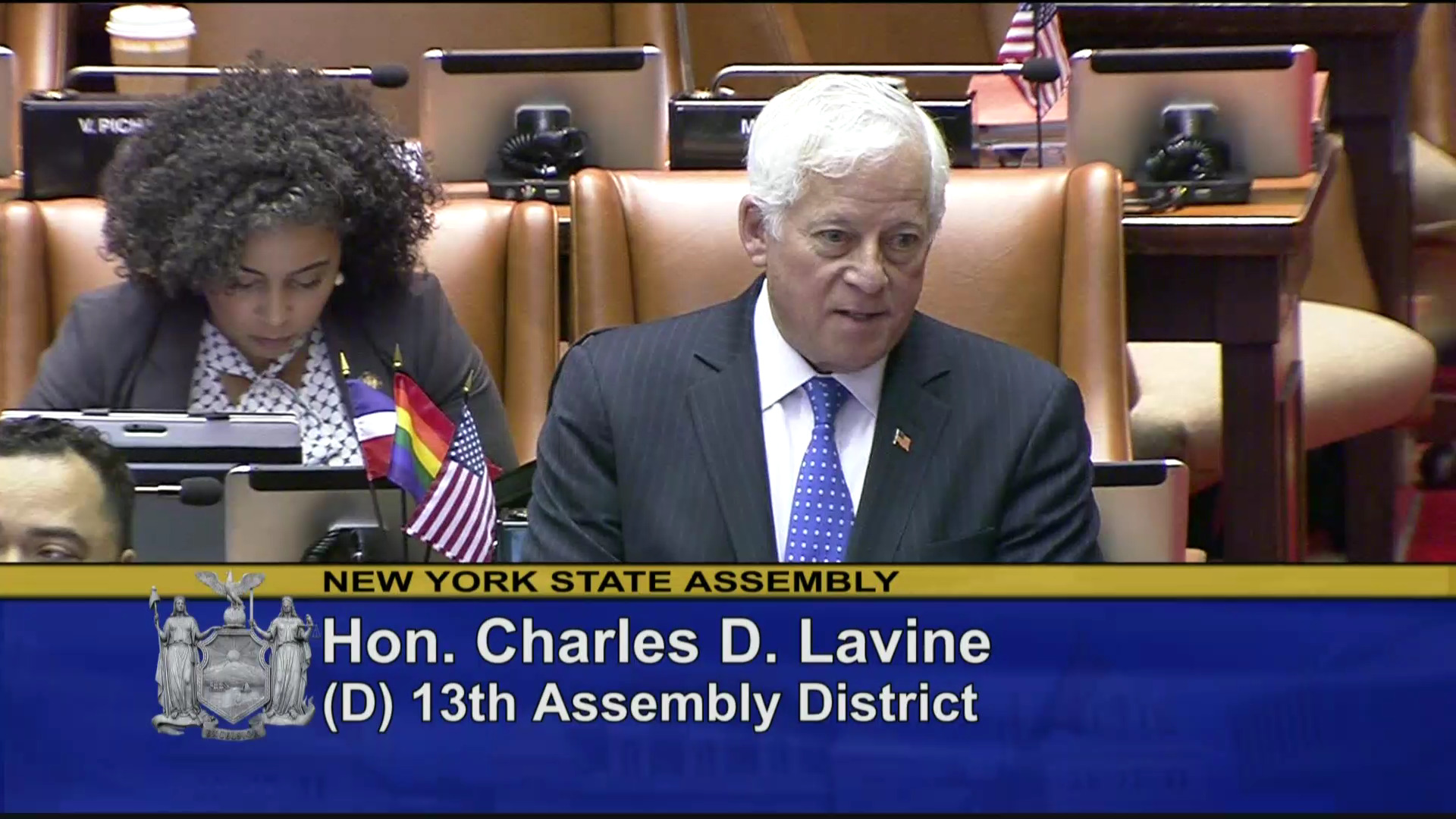 Assemblymember Lavine Fights for Specialized Courts