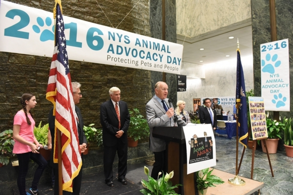 Assemblyman Dave McDonough (R,C,I-Merrick) [at podium] addresses a crowd at Animal Advocacy Day in Albany Tuesday.