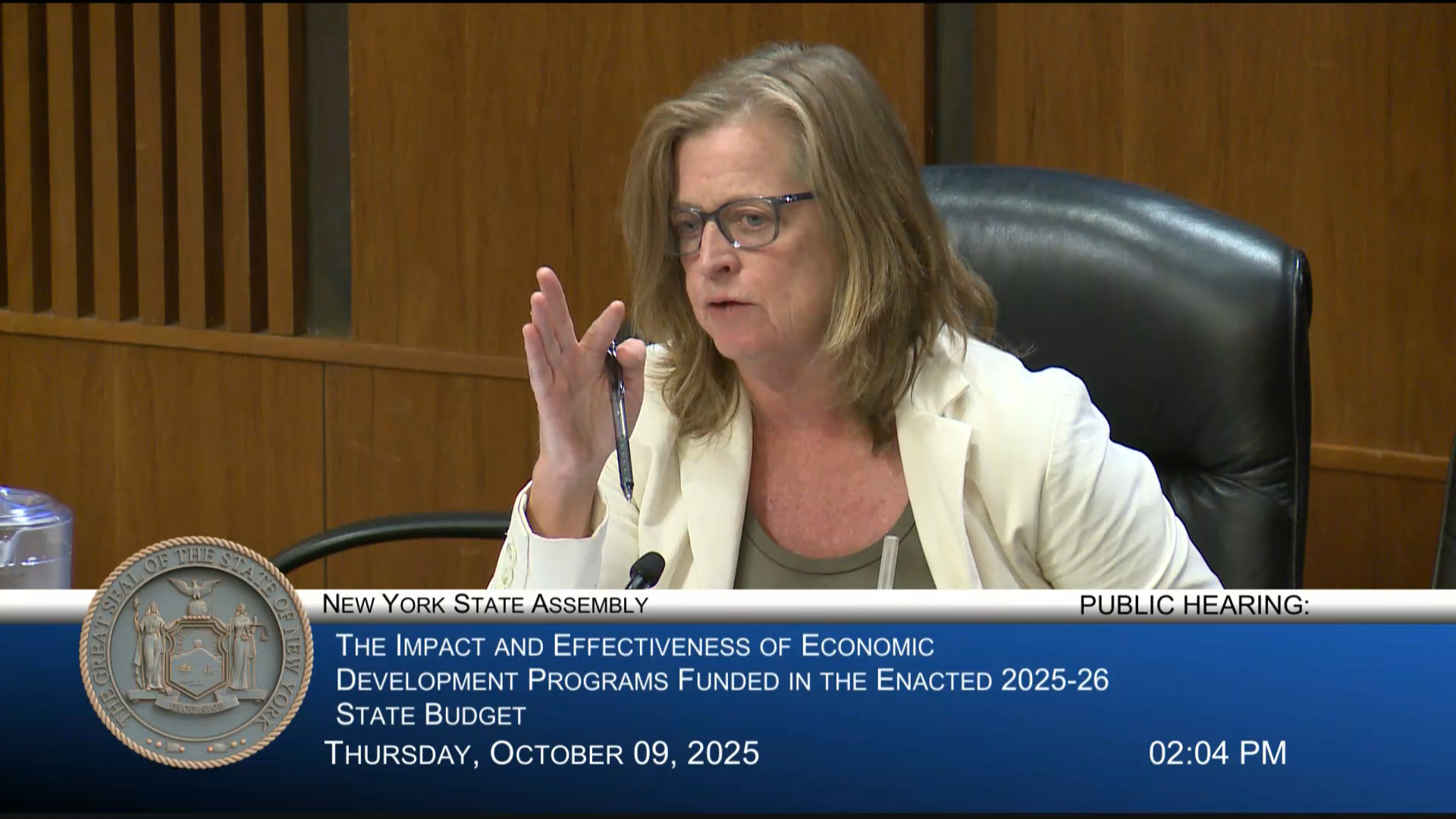 Small Business Advocates Testify During Hearing on impact Economic Development Programs funded in New State Budget