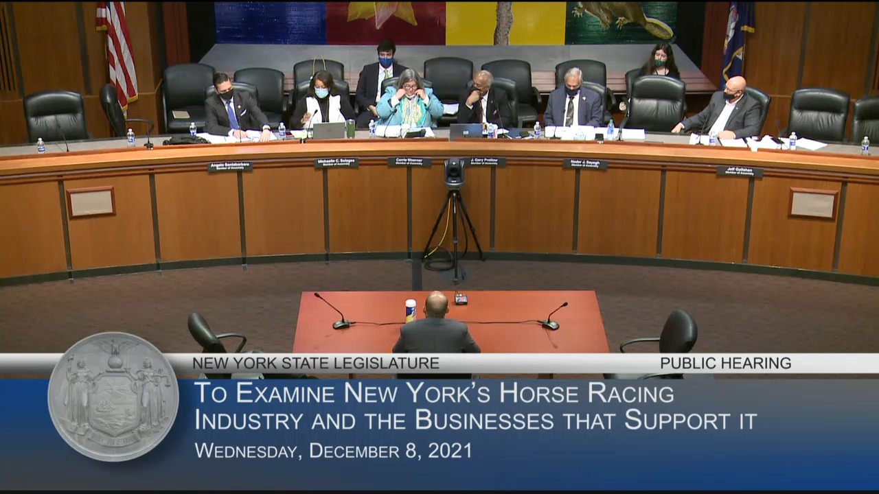 NY Thoroughbred Horsemen’s Association President Testifies at Hearing on the Efficiency and Effectiveness of New York’s Horse Racing Industry