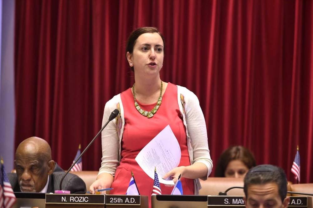 Assemblywoman Nily Rozic, by her fourth year in office, has introduced 89 bills in the Assembly. She has passed 18 bills, with 11 of those having been signed into law.