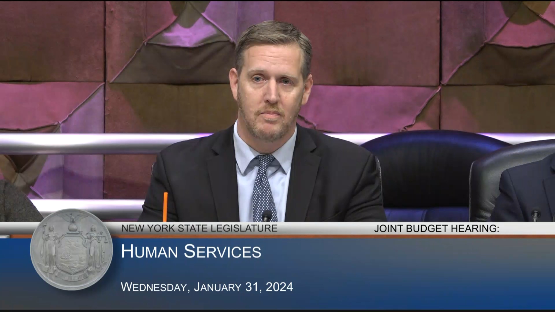 Hevesi Questions OCFS Acting Commissioner During Budget Hearing on Human Services