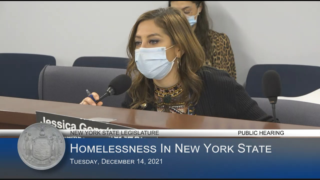 Gonzalez-Rojas Questions Advocates for the Homeless During a Public Hearing on Homelessness in New York State