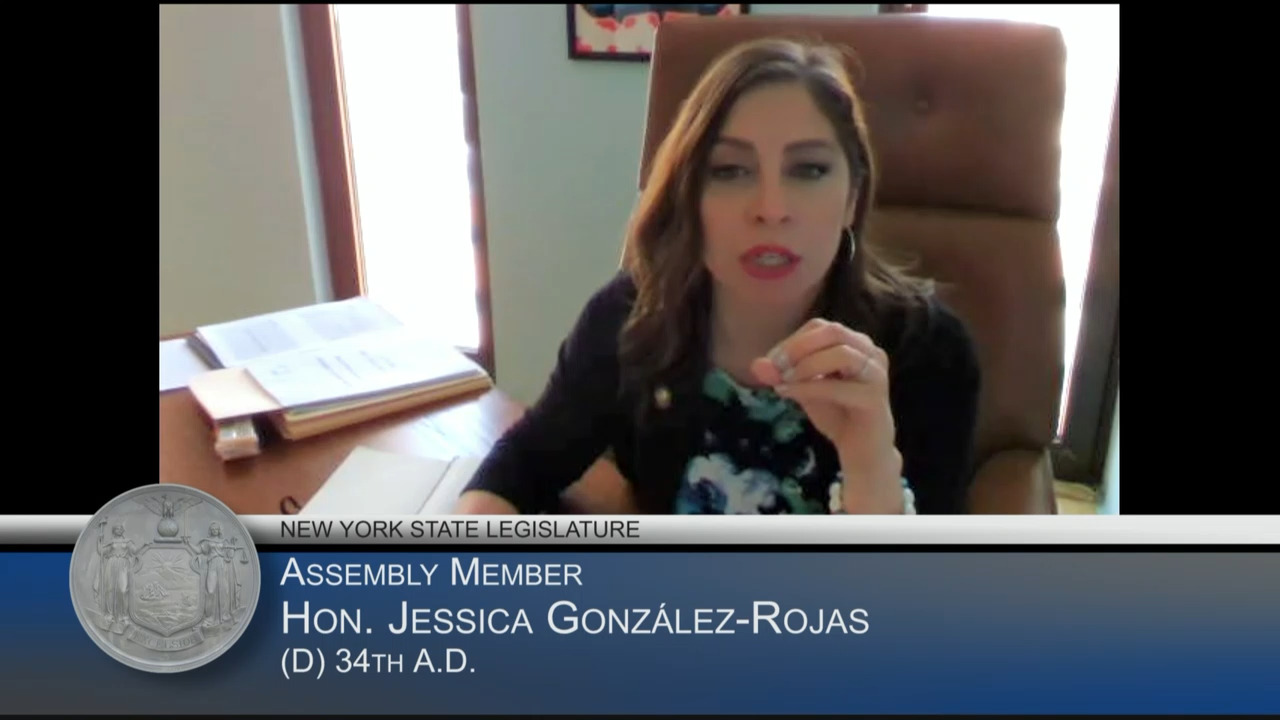 Gonzalez-Rojas Questions OTDA Commissioner During Budget Hearing On Human Services