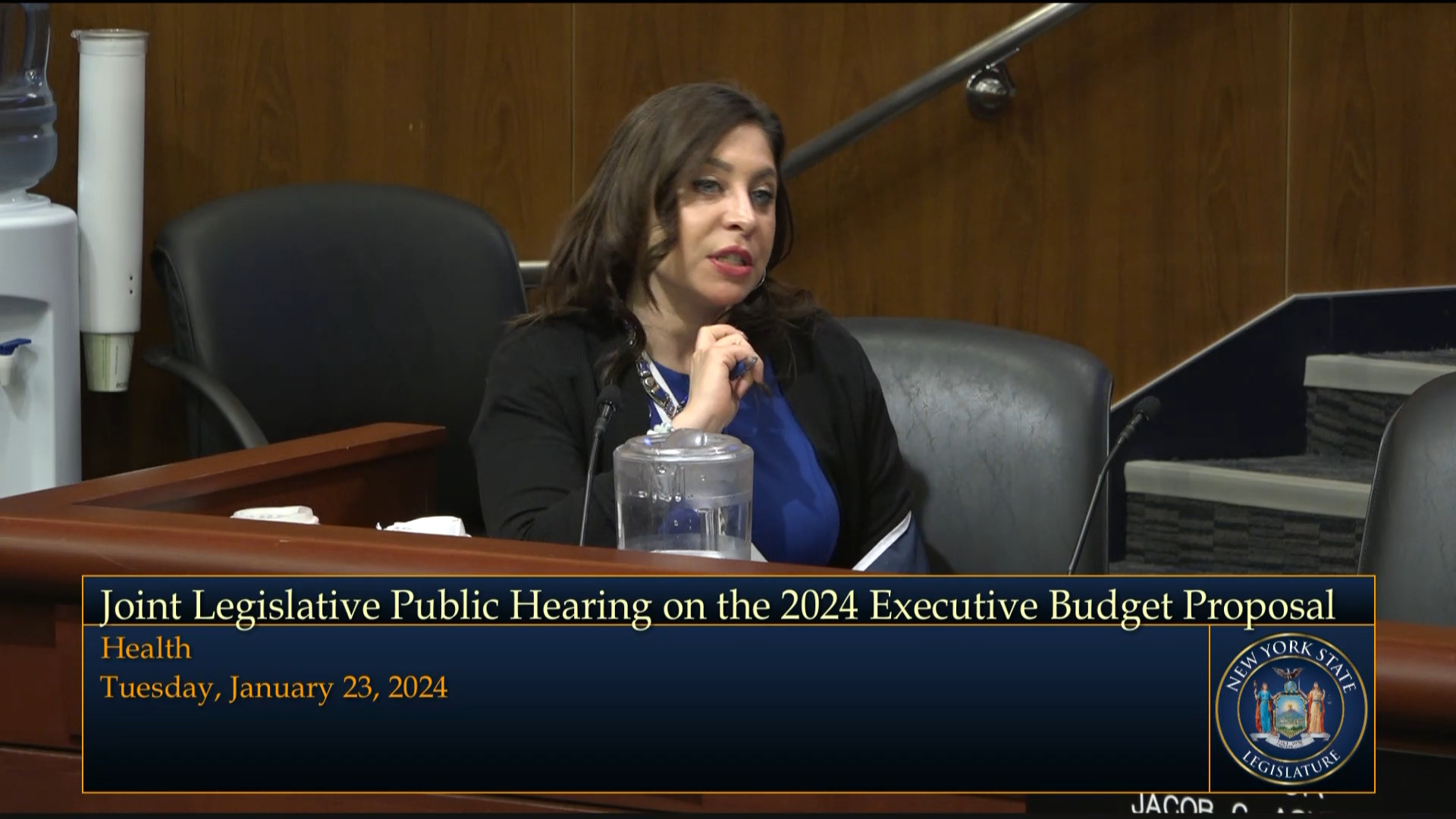 Community Health Care Association President Testifies During Budget Hearing on Health