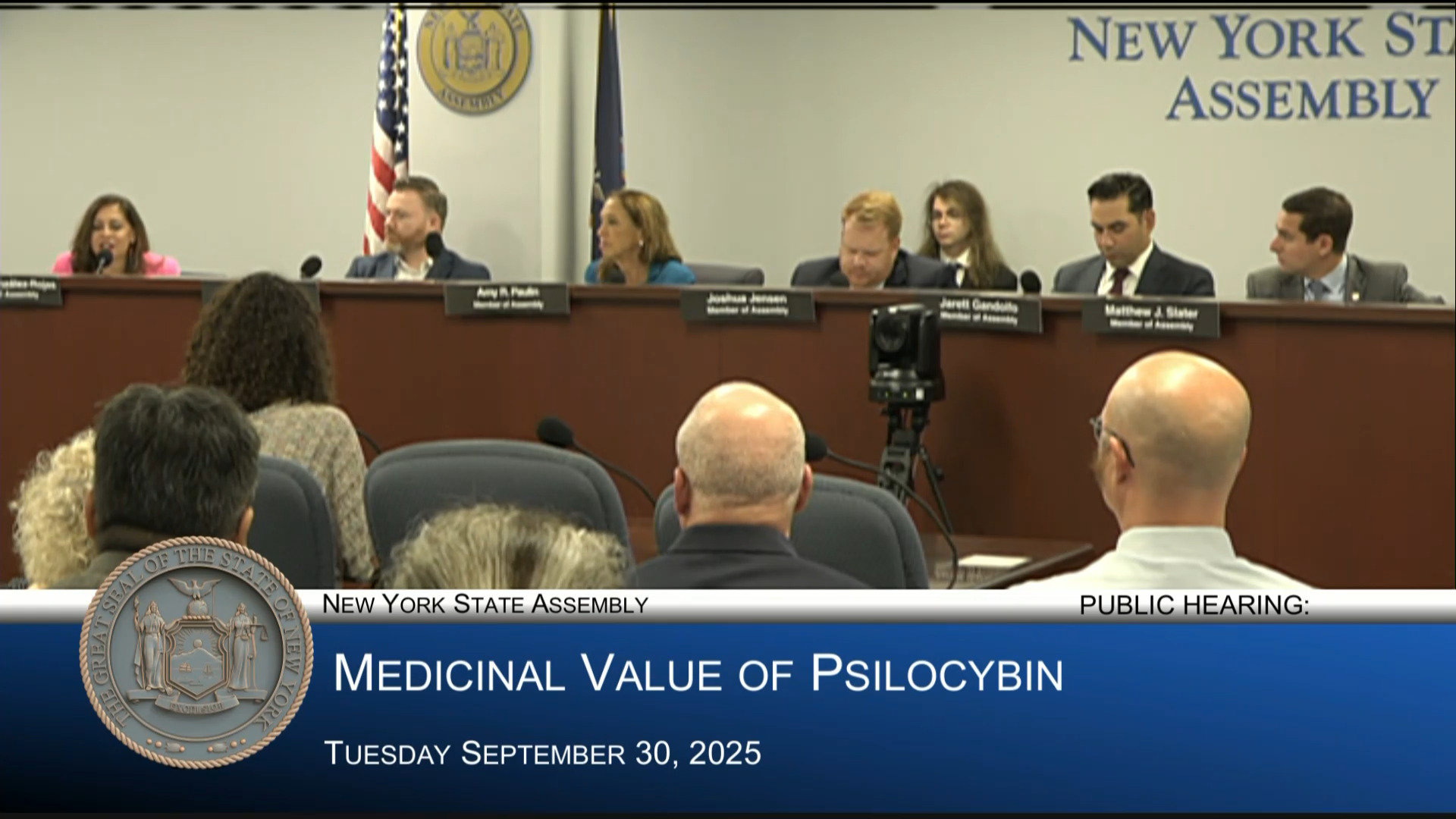 Public Hearing on Medicinal Value and Risks of Psilocybin