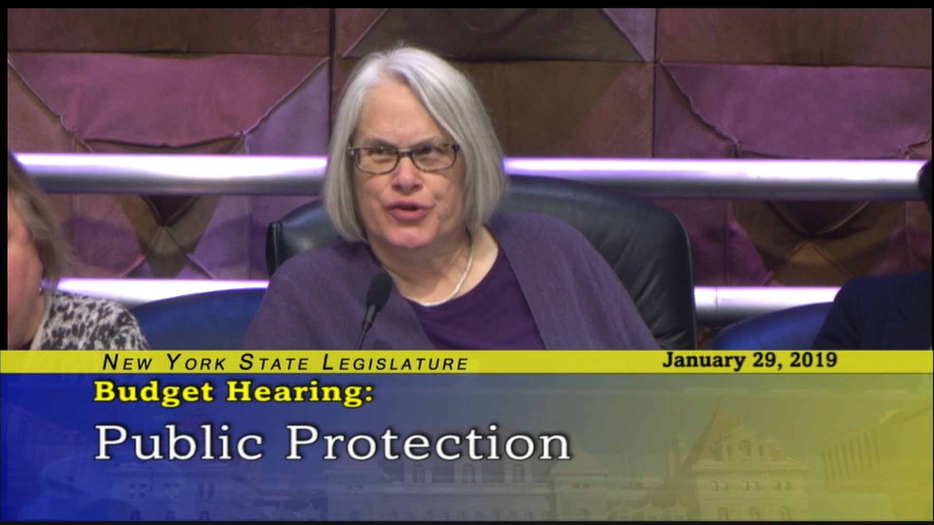 2019 Budget Hearing on Public Protection