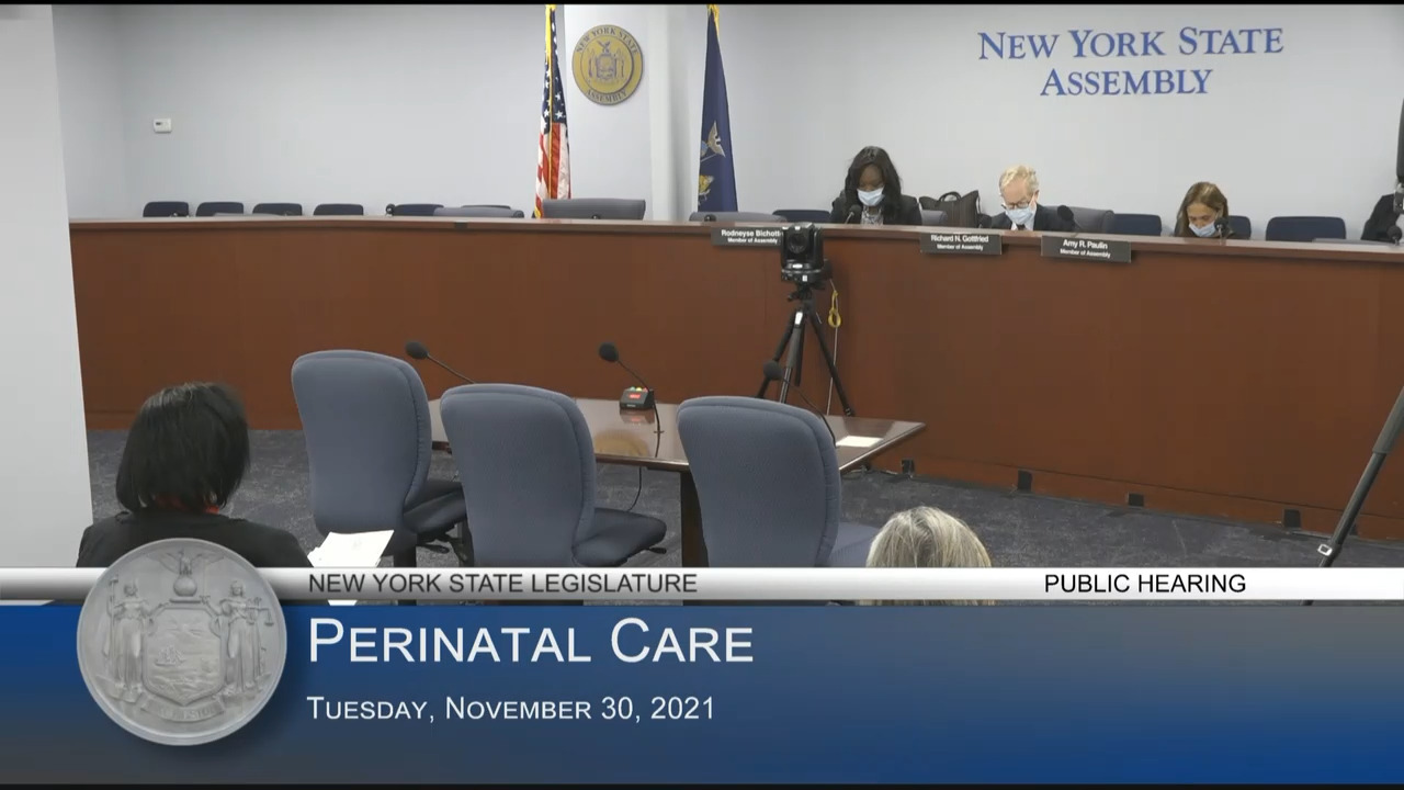 Bichotte Hermelyn Opens Public Hearing on Perinatal Care