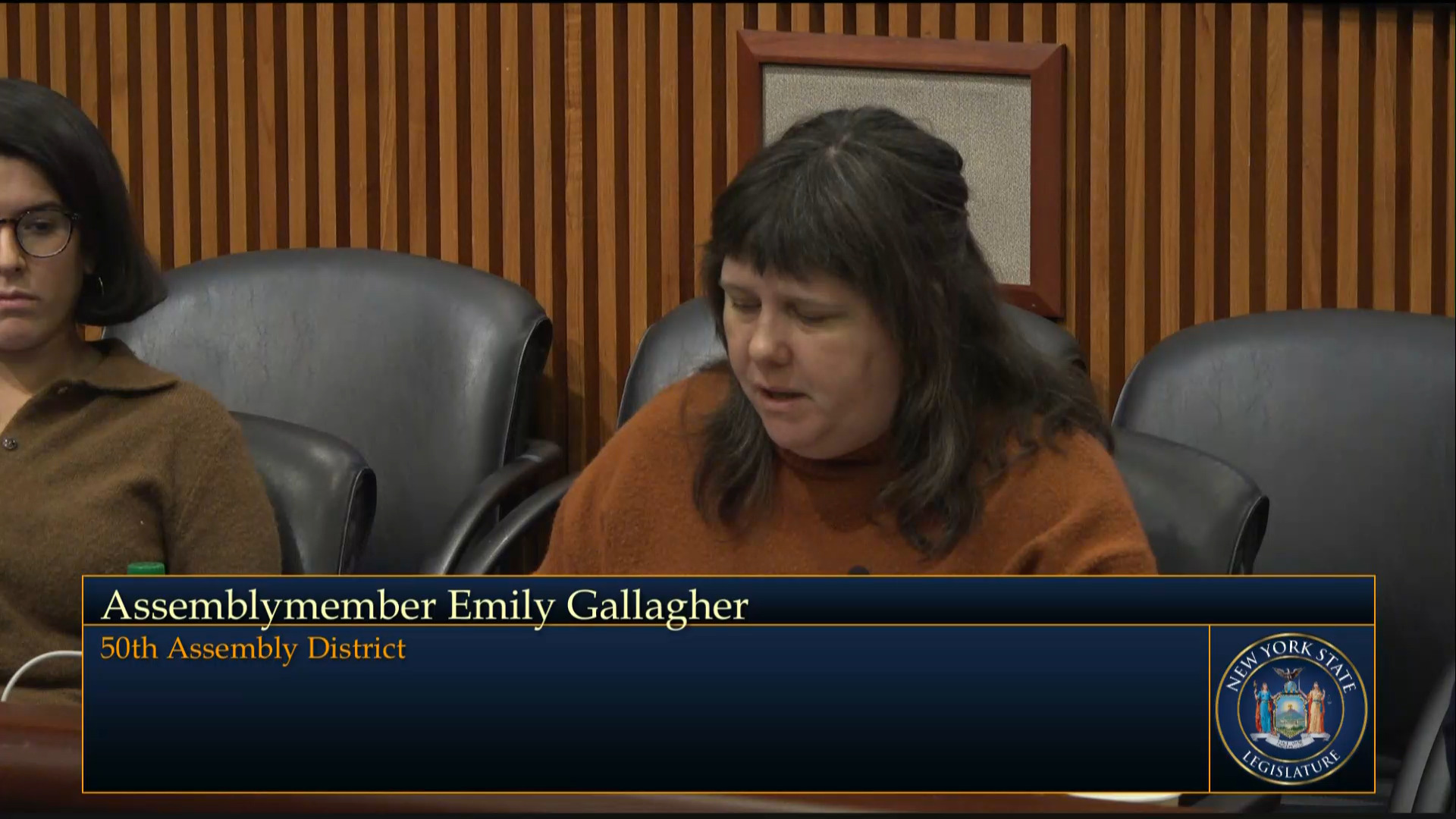 State Officials Testify During Budget Hearing on Public Protection