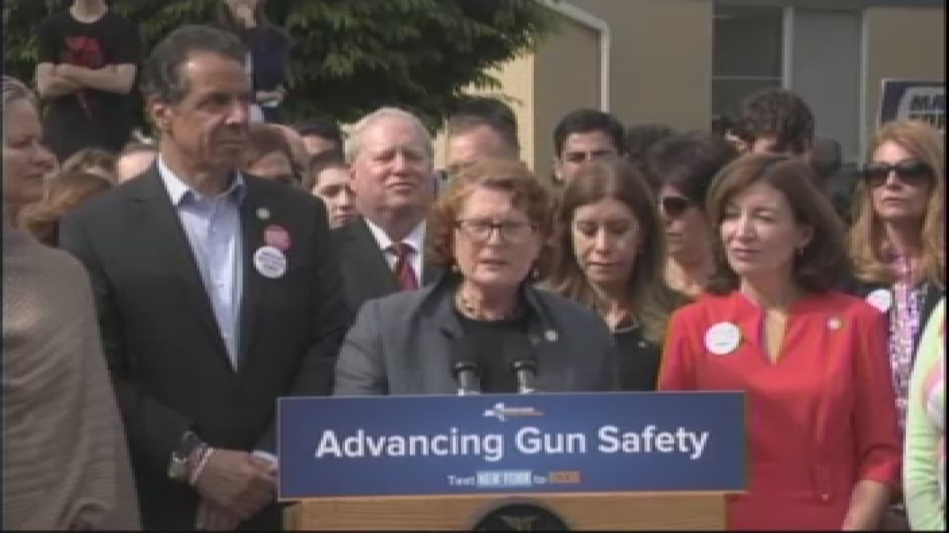 Assemblymember Simon Fights for Gun Safety Legislation