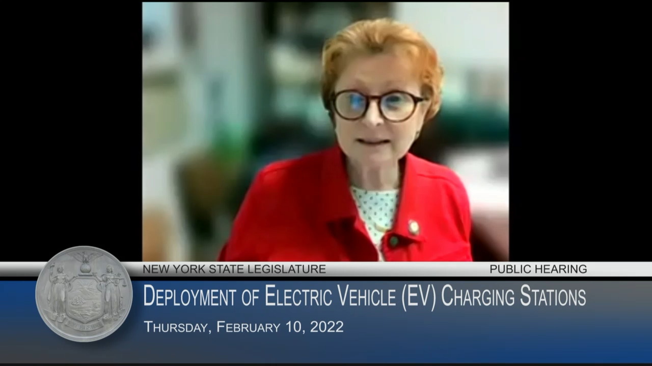 Environmental Advocates Testify During Public Hearing on Deployment of Electric Vehicle (EV) Charging Stations