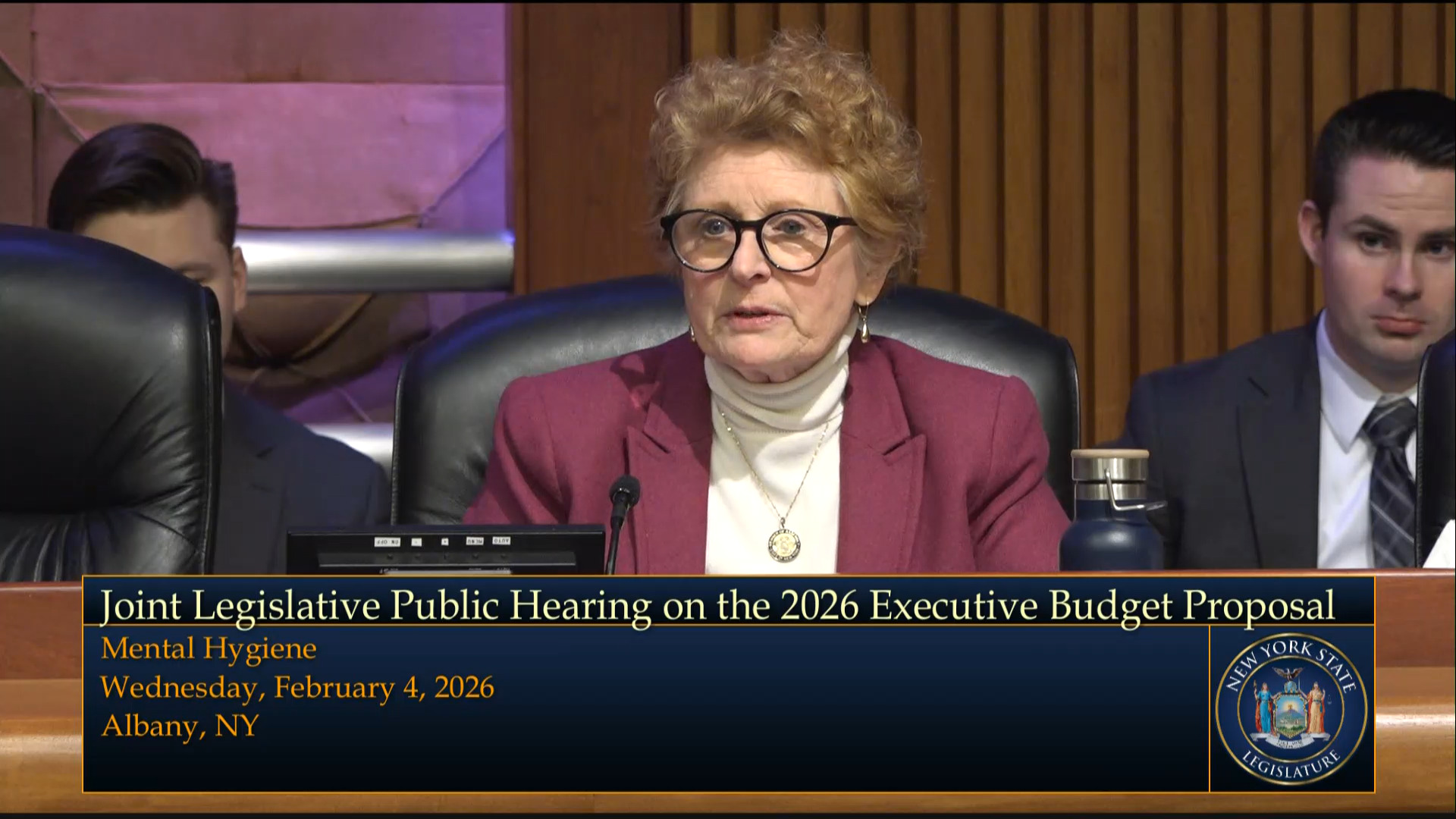 Mental Health Commissioner Testifies during a Joint Budget Hearing on Mental Hygiene