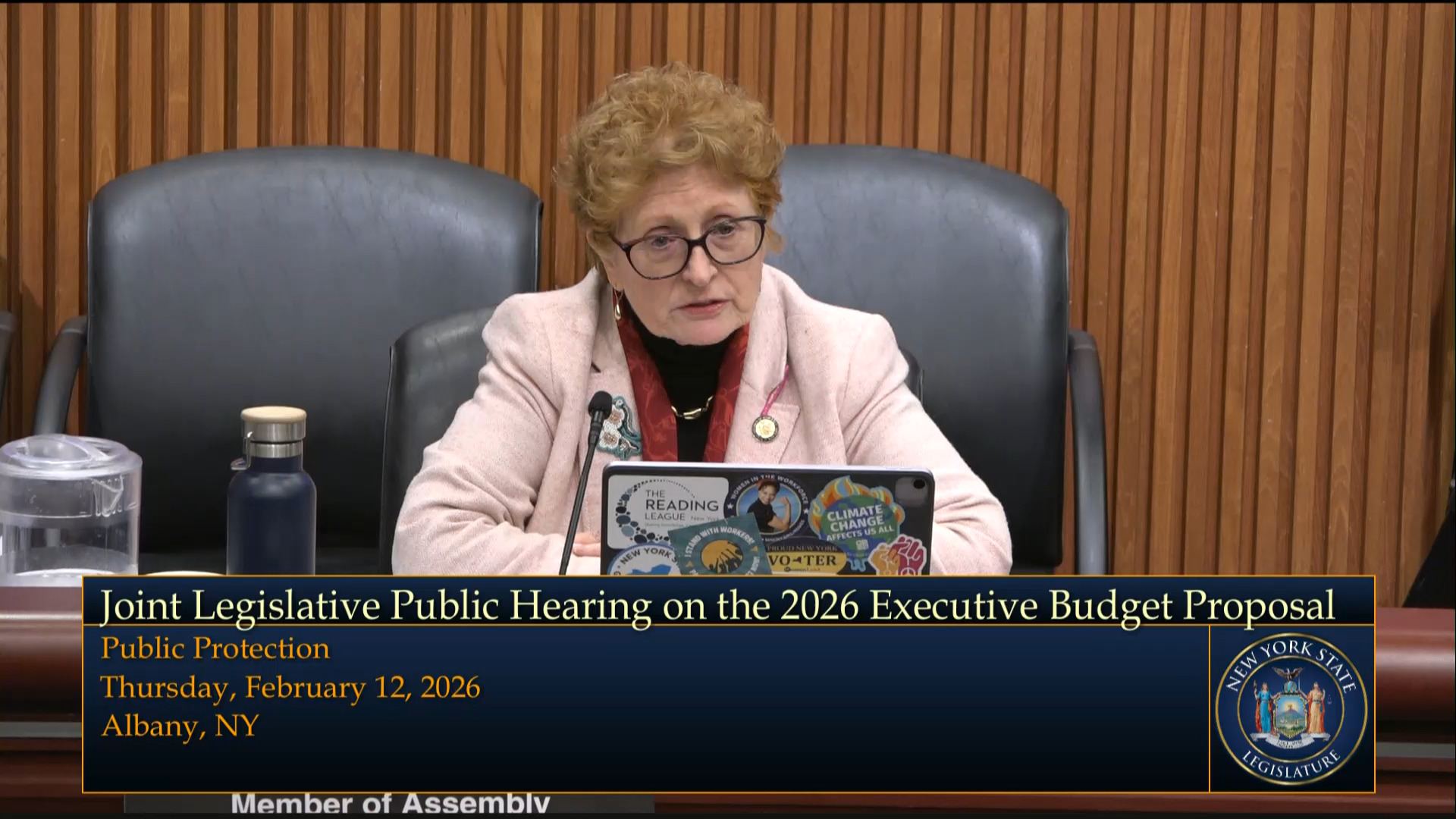 NYS Indigent Legal Services Director Testifies During Budget Hearing on Public Protection