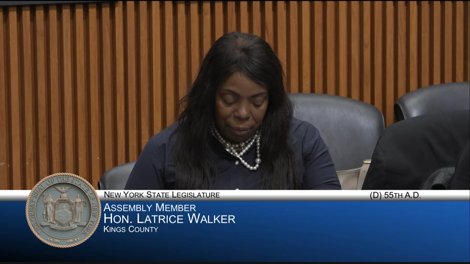 NYC Officials Testify During Budget Hearing on Local/General Government