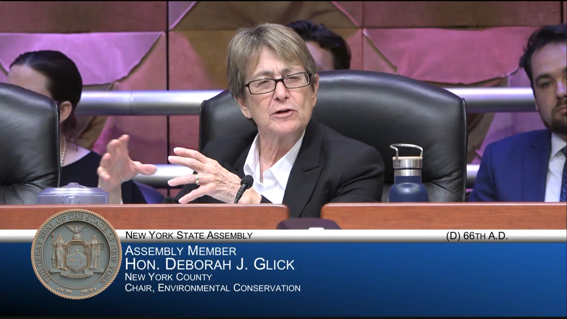 Chair Glick Questions Advocates during Public Hearing on PFAS Contamination in Water