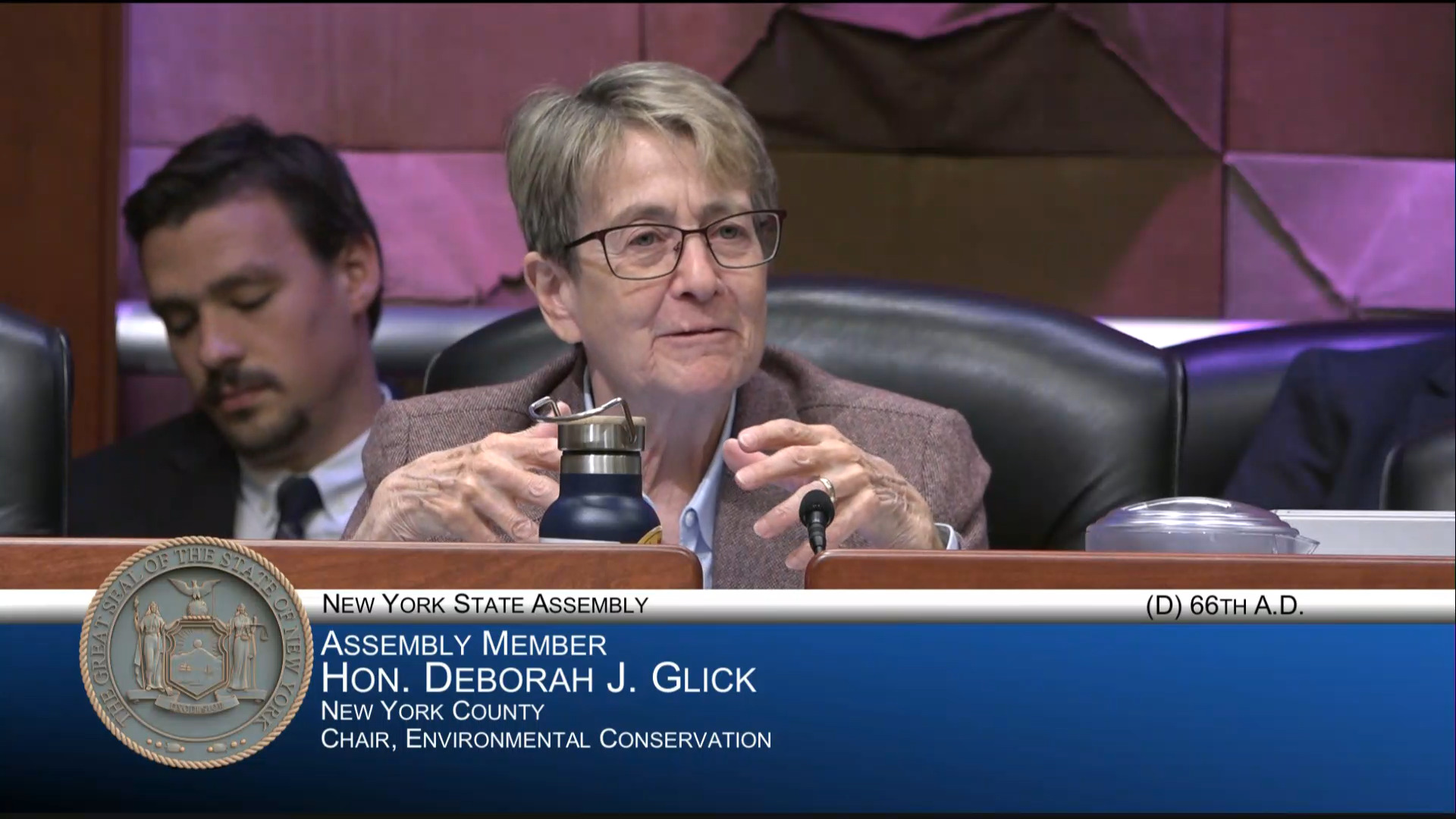 Local Officials Testify at Public Hearing Examining New York’s Lead Service Line Replacement Program