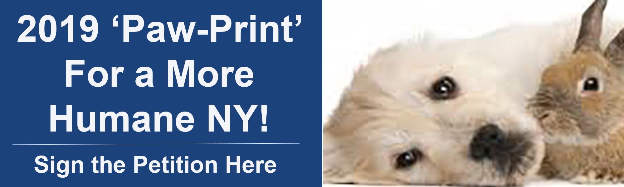 2019 ‘Paw-print’ for a More Humane New York!