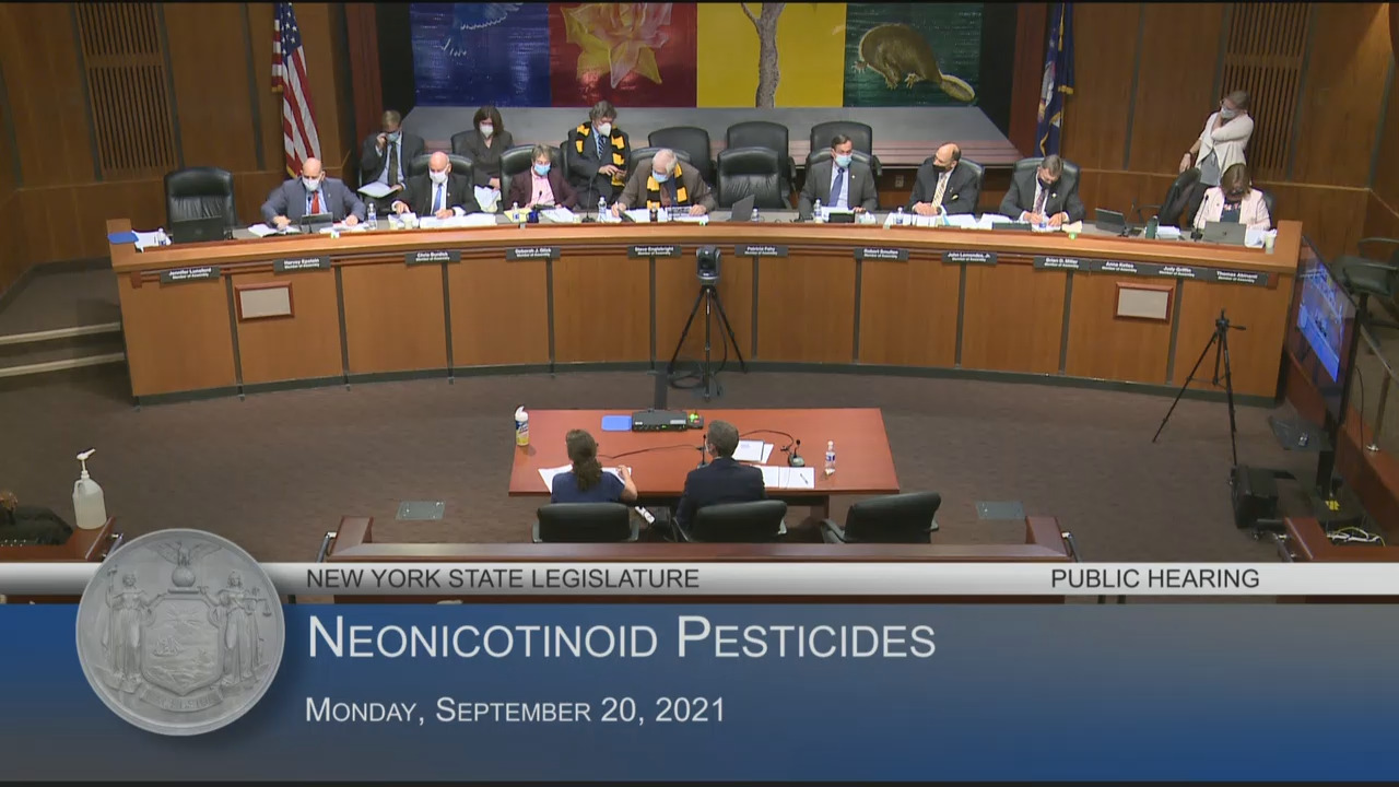 Risks of Neonicotinoid Pesticides