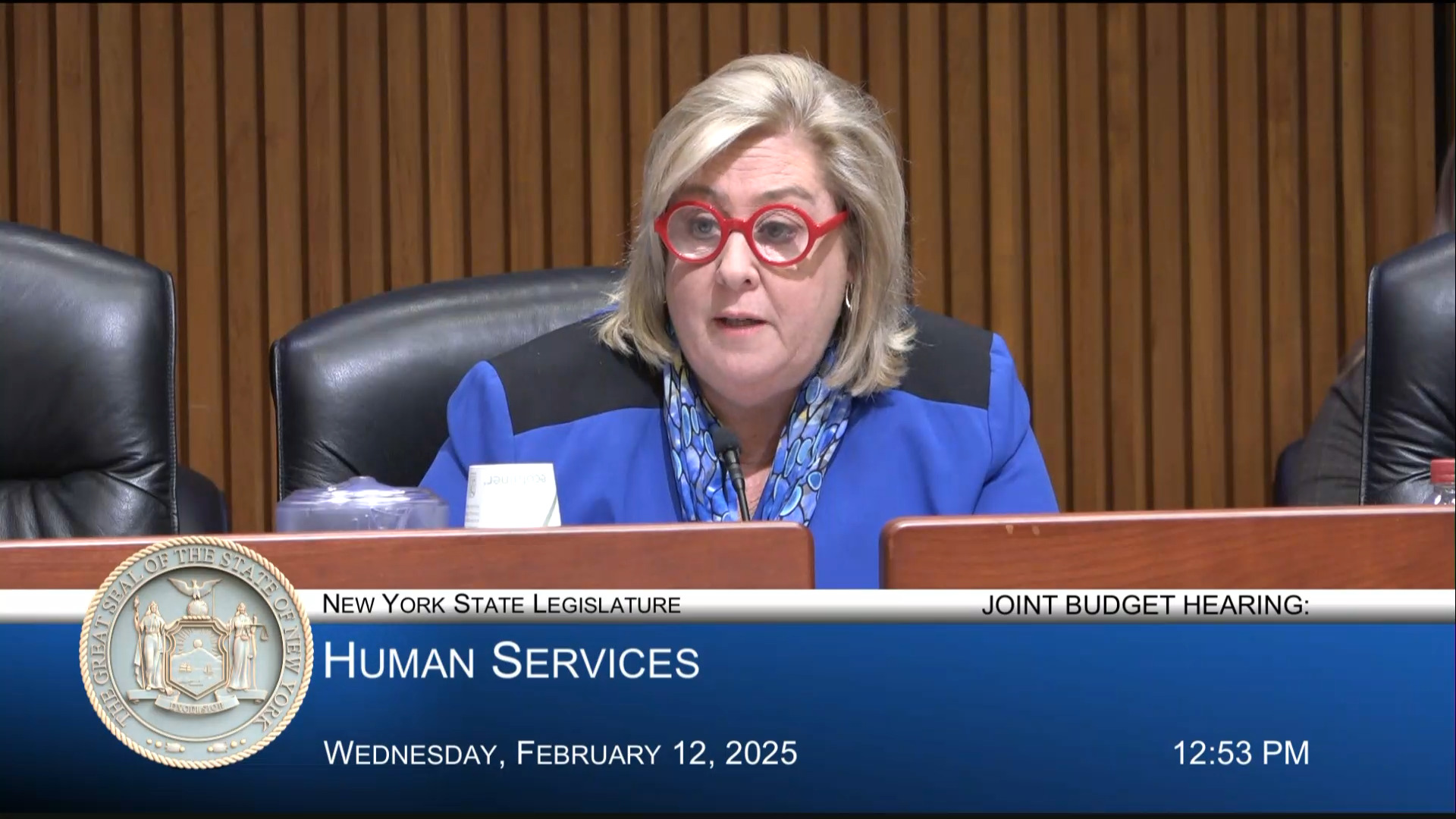 Office of Aging Acting Director Testifies During Joint Budget Hearing on Human Services