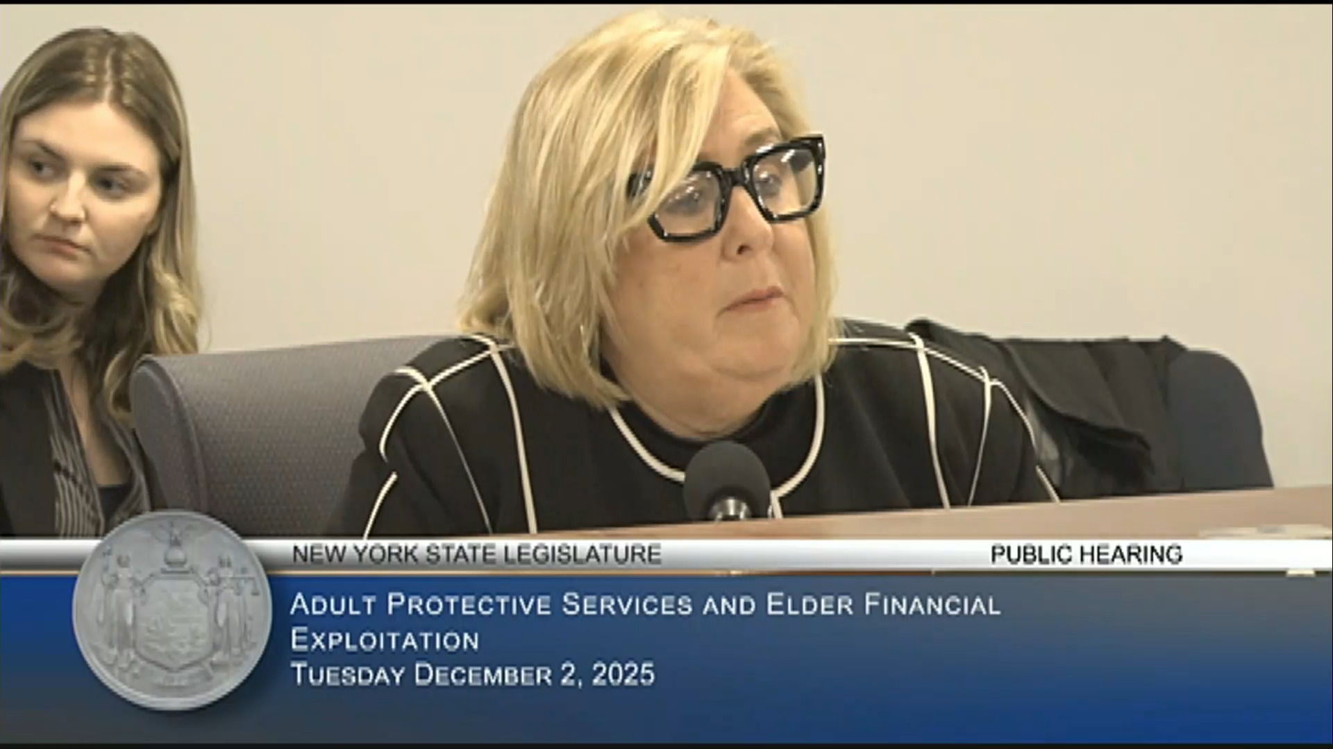 Seawright Co-Chairs Public Hearing on Preventing Financial Fraud Against Older Adults