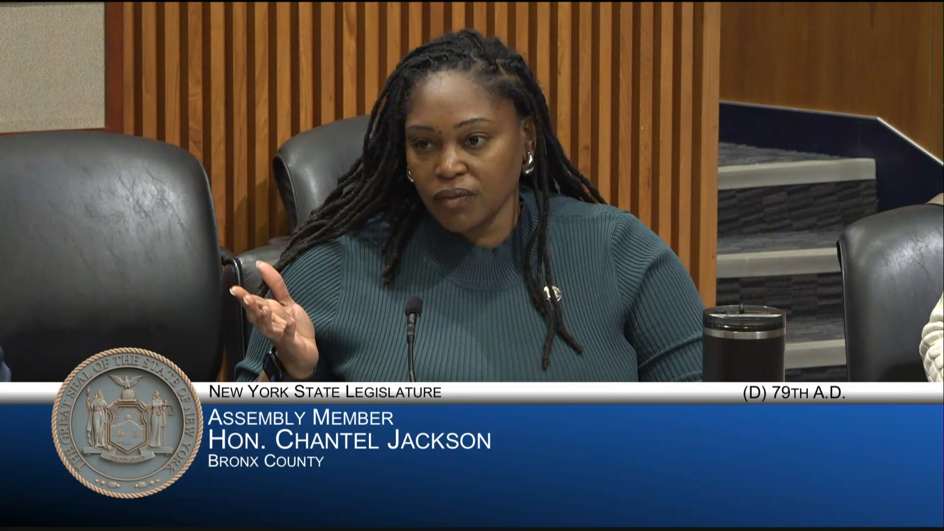 NYC Public Schools Chancellor Testifies During Budget Hearing on Elementary and Secondary Education
