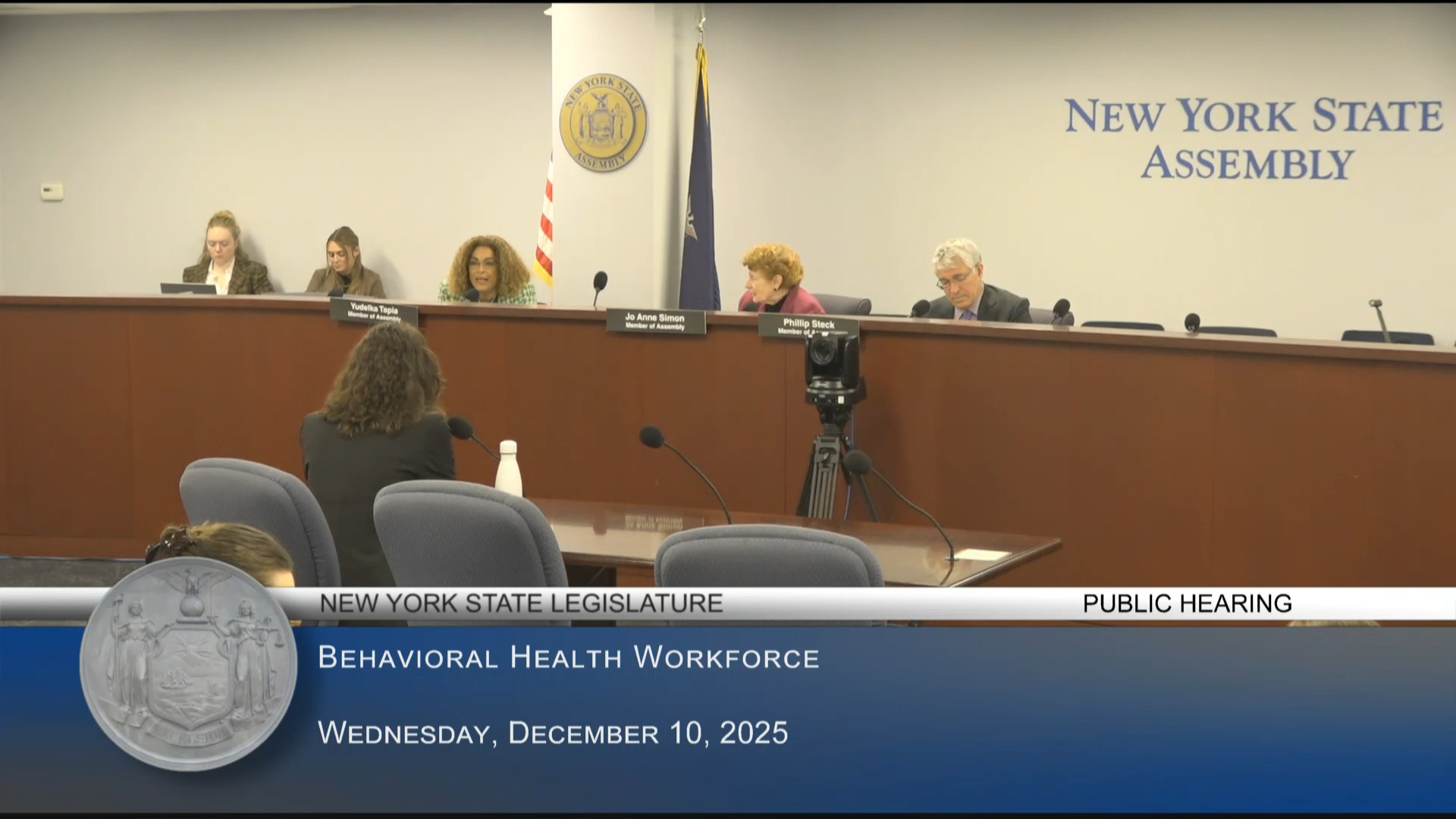 Assembly Holds Public Hearing on the Status of the Behavioral Health Workforce