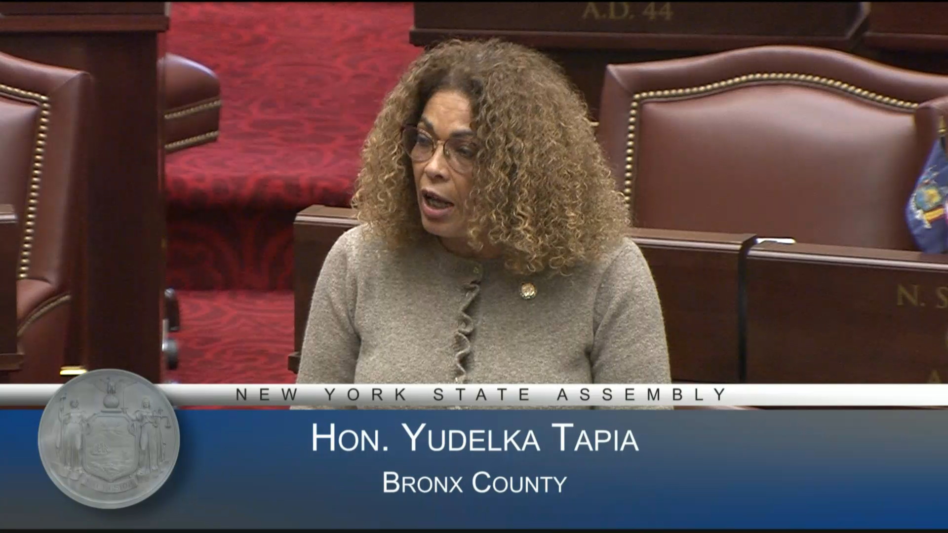 Dominican Heritage Month in NY