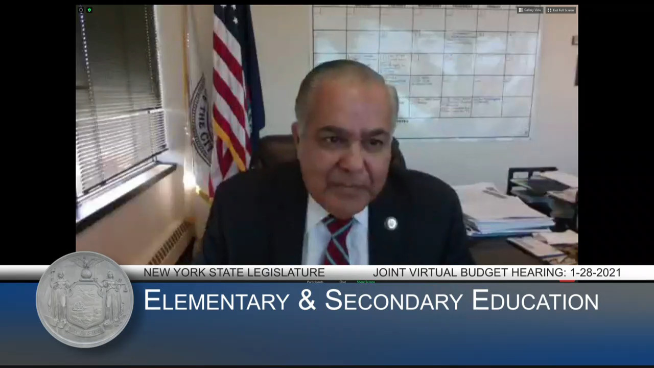 Sayegh Questions Interim Education Commissioner During Budget Hearing on Education