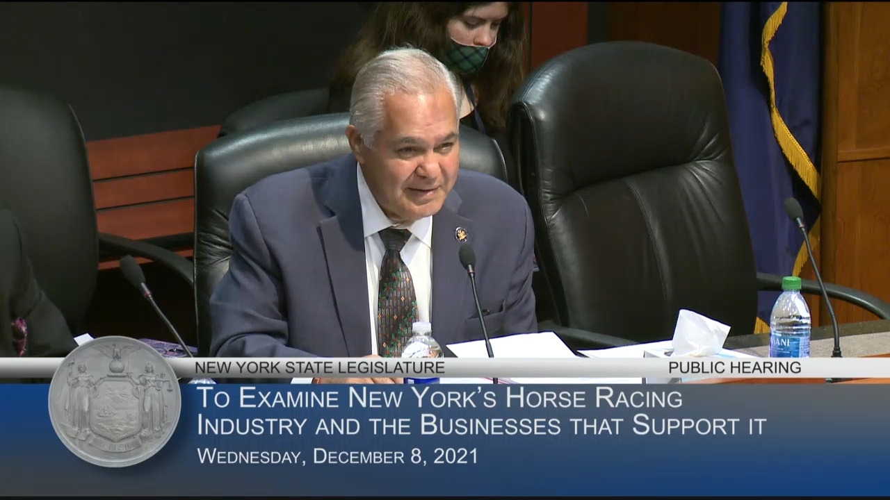 Public Hearing on the Efficiency and Effectiveness of New York’s Horse Racing Industry