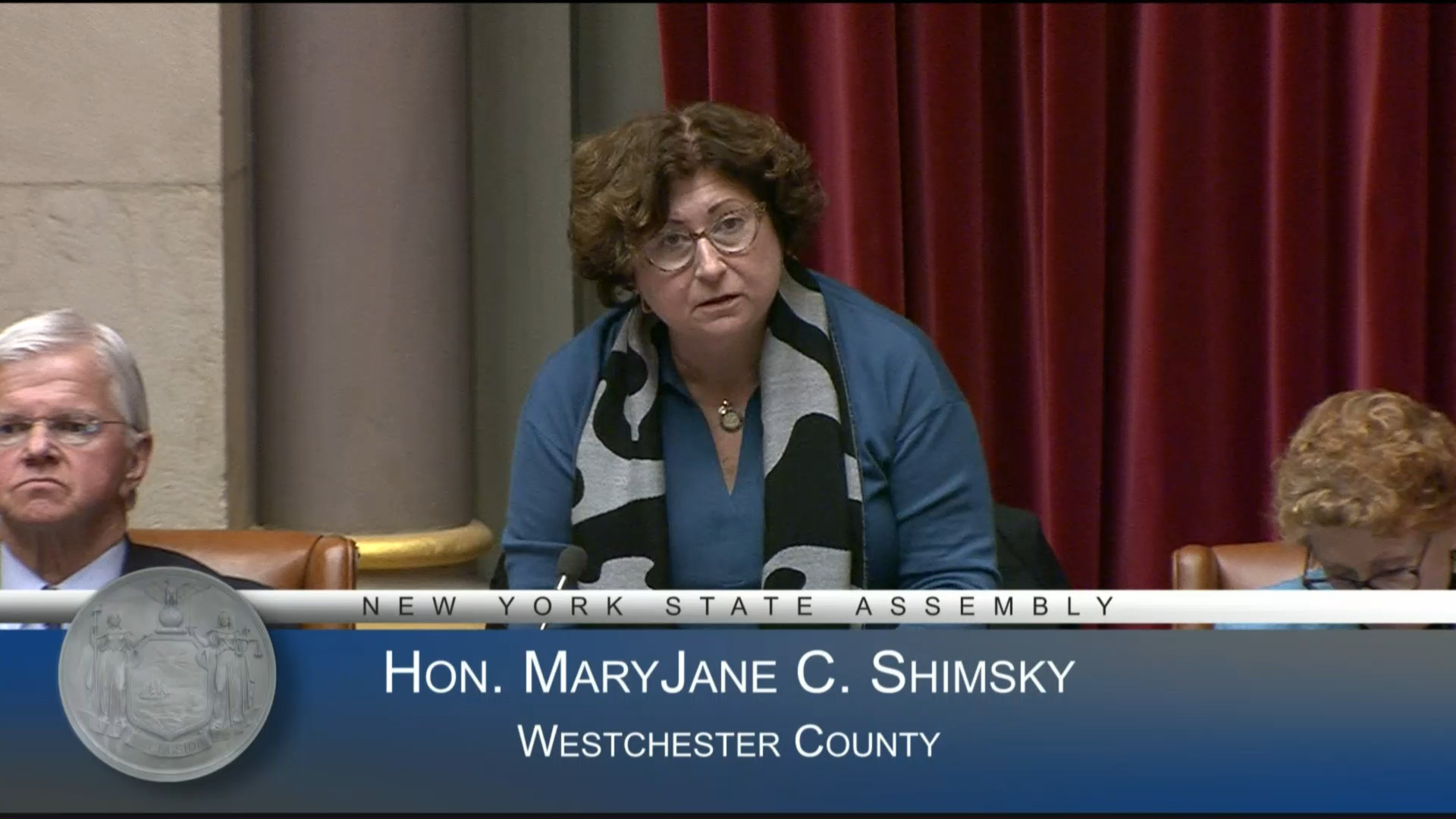 Shimsky Votes Against Bill Clarifying the Duties of the Village incorporation Commission