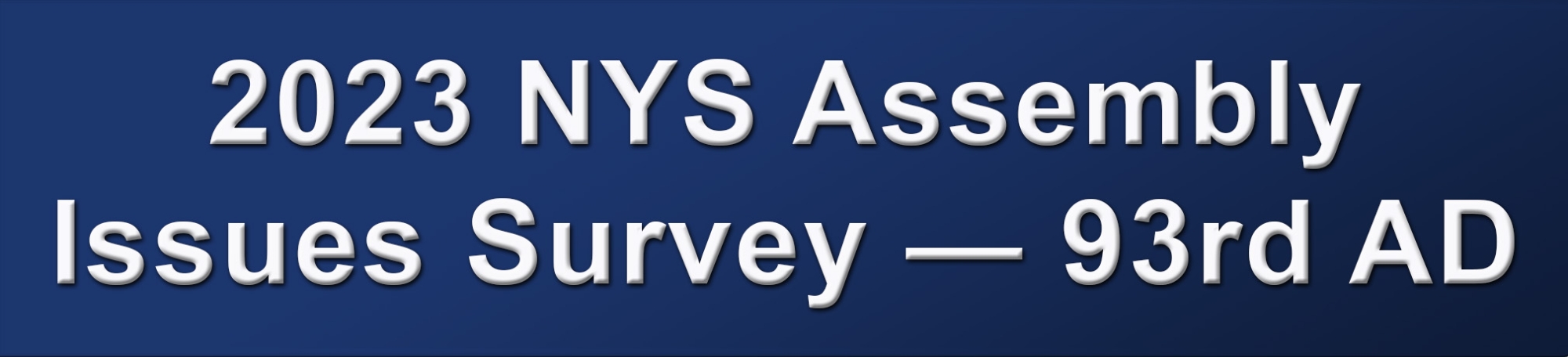 2023 NYS Assembly Issues Survey