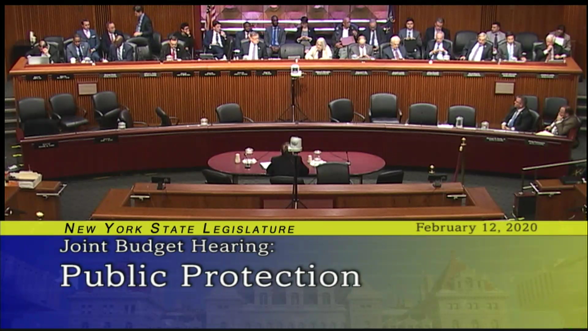 2020 Joint Budget Hearing on Public Protection (3)