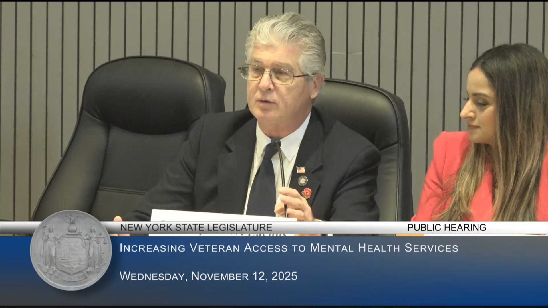 NYS Dept of Veterans’ Services Spokesperson Testifies at Public Hearing on Ways to Increase Veterans’ Access to Mental Health Services