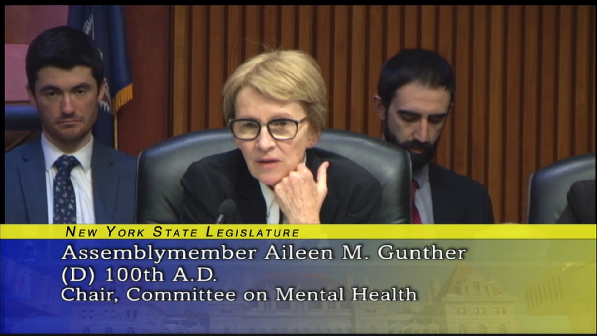 2020 Joint Budget Hearing on Mental Hygiene