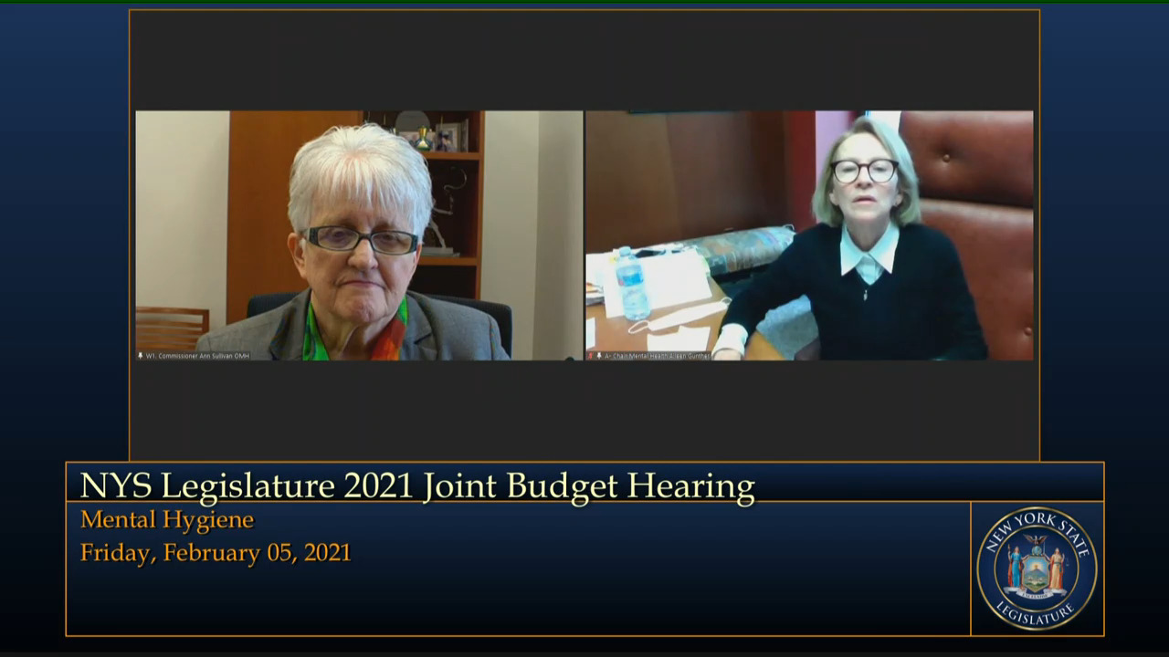 2021-2022 Budget Hearing on Mental Hygiene