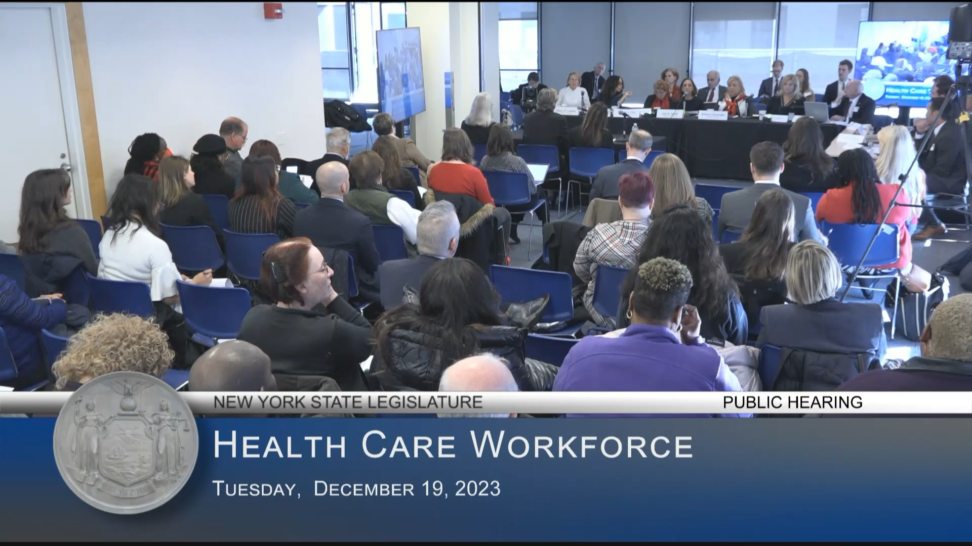 Gunther Co-Chairs Public Hearing on Status of the Health Care Workforce in New York State