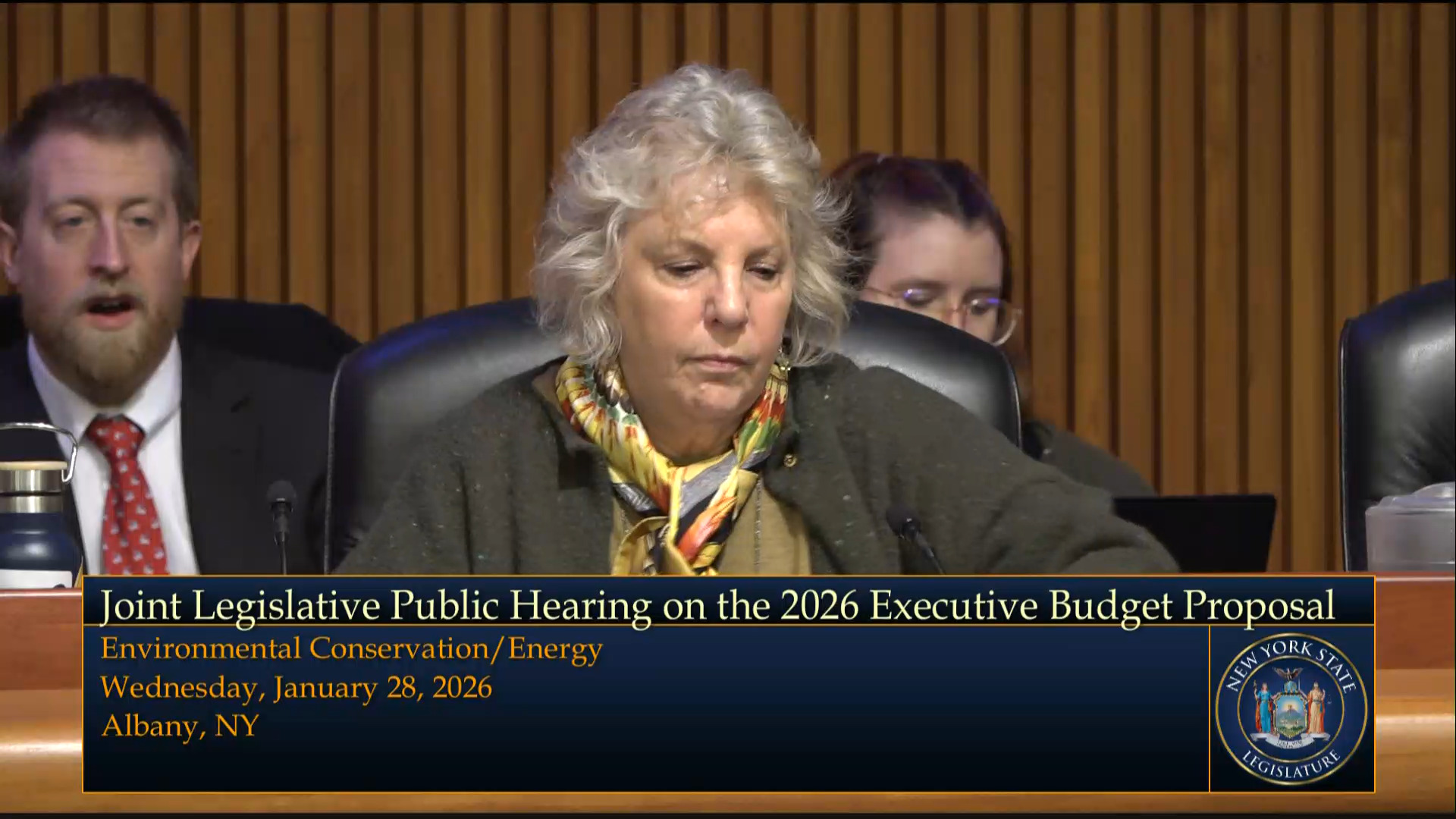 DEC Commissioner Testifies During Budget Hearing on Environmental Conservation