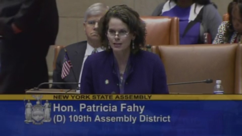 Women's Reproductive Health Act Passes the Assembly