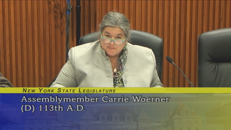 Assemblywoman Woerner Discusses Staffing Levels and Enforcement at The Environmental Conservation Budget Hearing