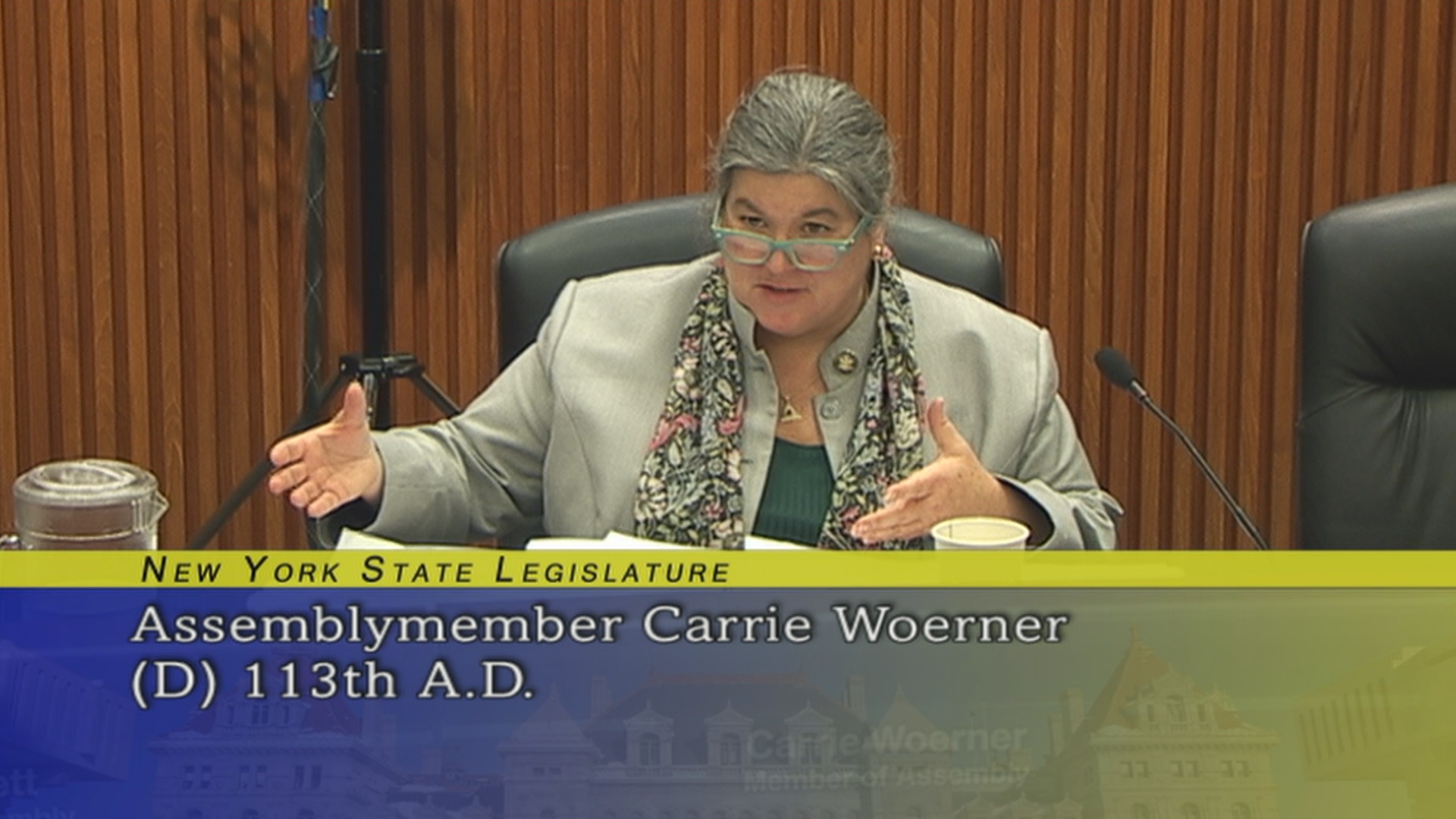Assemblywoman Woerner Strategic Economic Development
