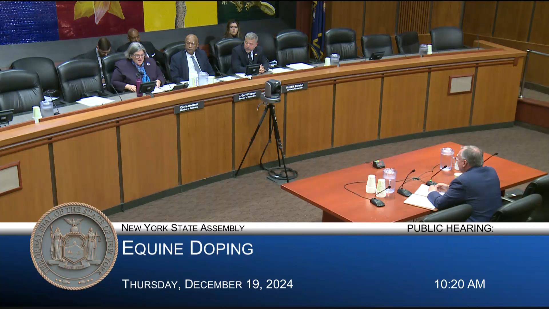 Woerner Questions Gaming Commission Equine Medical Director at Public Hearing on Equine Doping in New York State