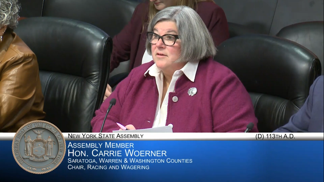 Public Hearing on Combating Problem Gambling on Mobile Wagering Platforms