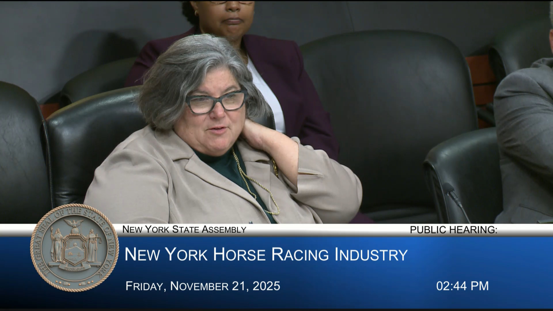 Thoroughbred Breeders Testify During a Public Hearing Examining New York’s Horse Racing Industry