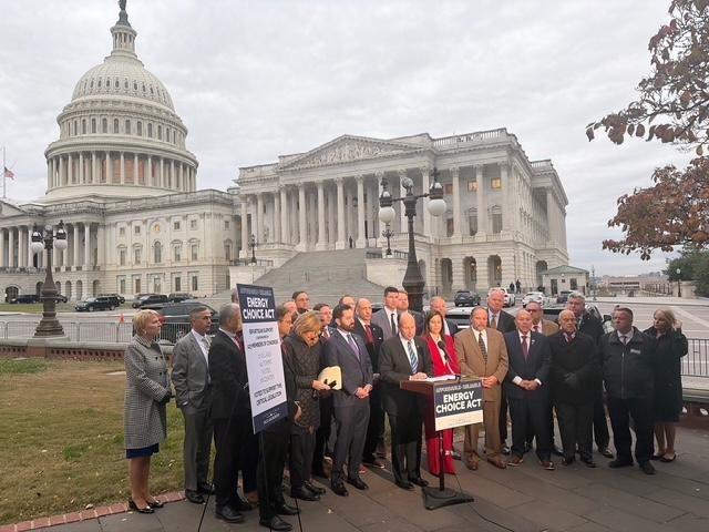 Photo as described in caption