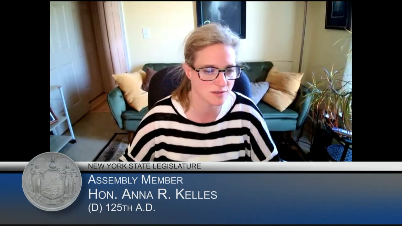 Kelles Questions Professor Rodberg During Hearing on All-Electric Buildings