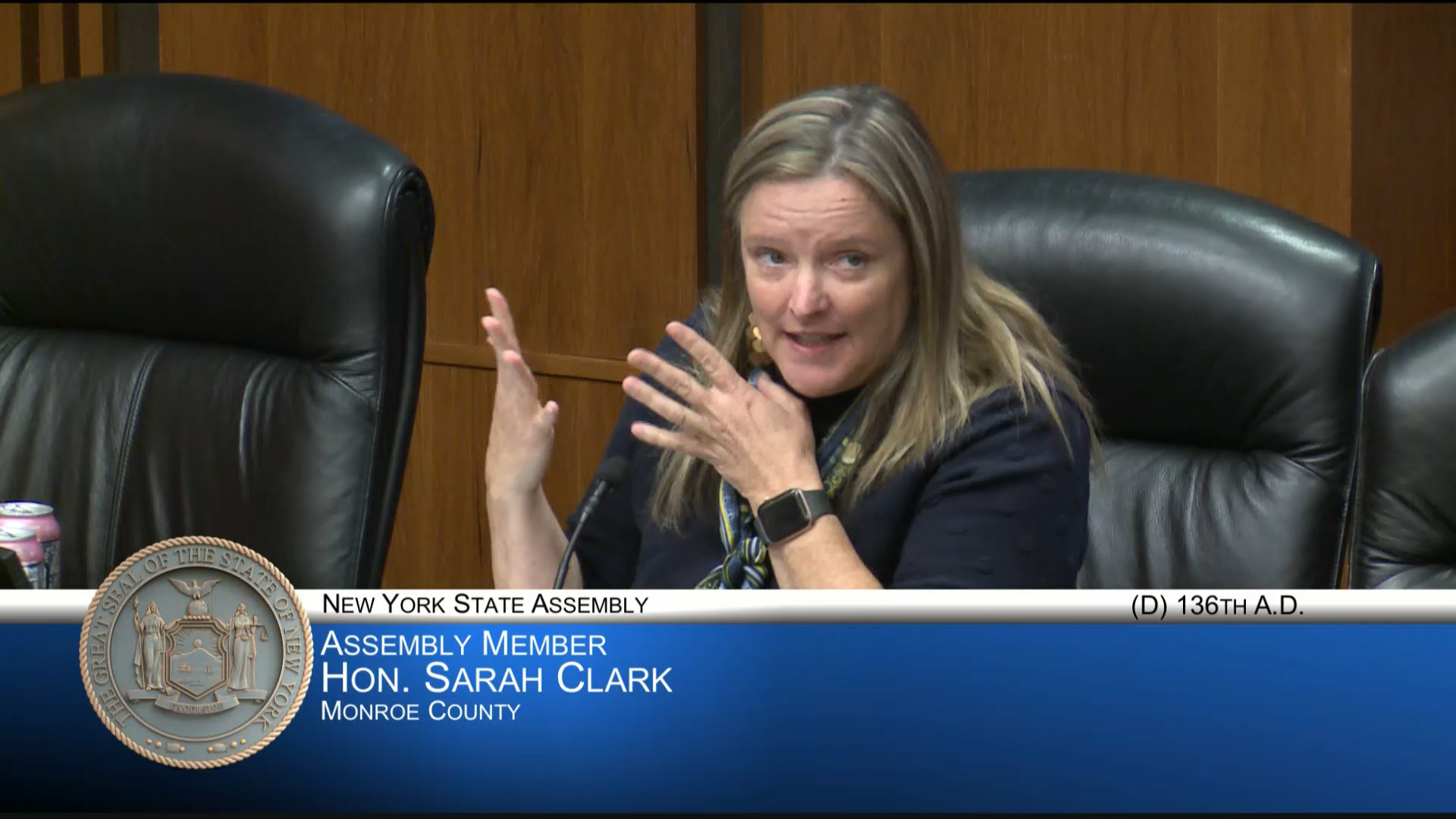 Energy Usage Expert Testifies During Public Hearing on Protecting Residential Ratepayers from Certain Increased Energy Costs