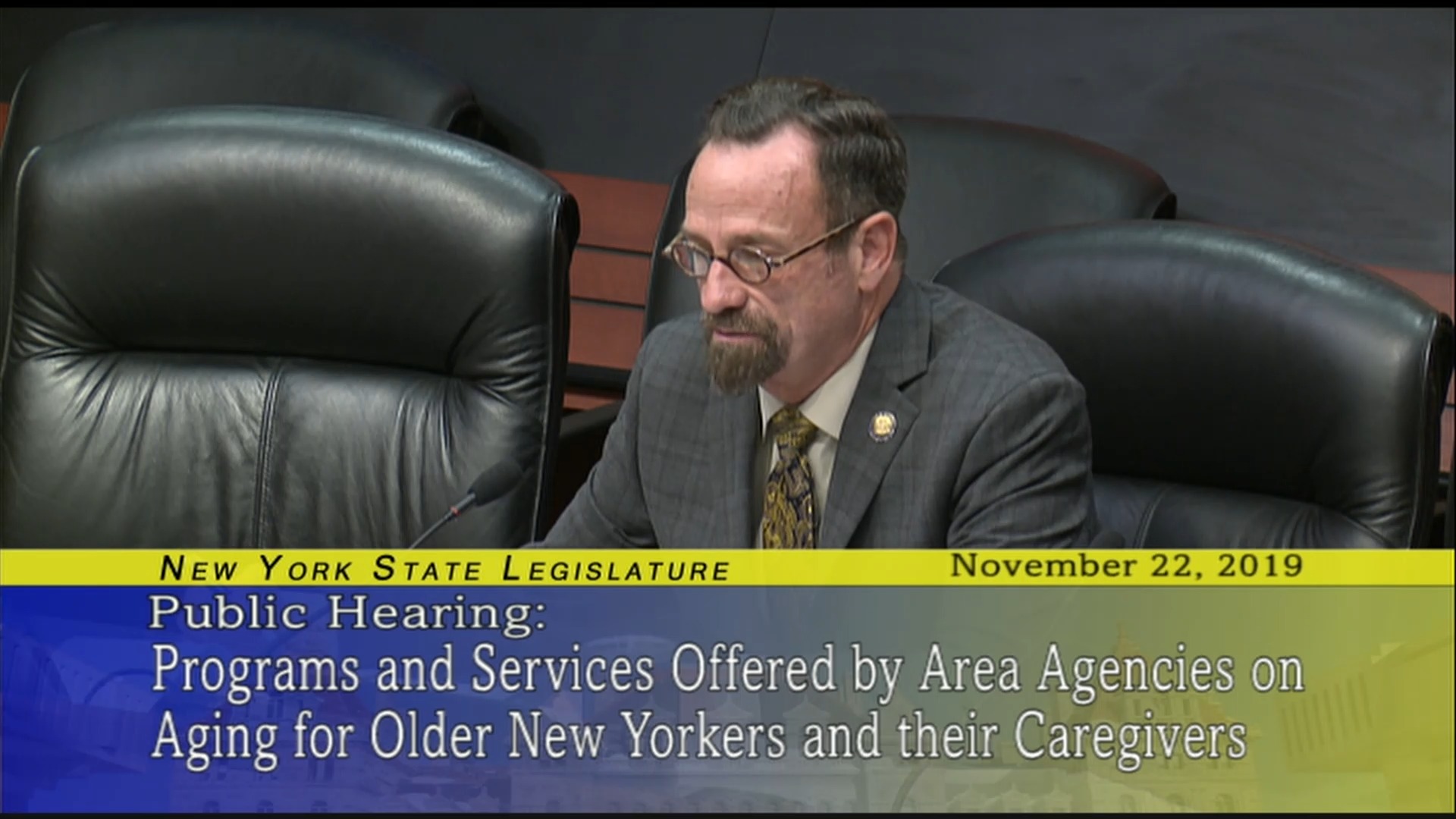 Public Hearing On Programs And Services For Aging New Yorkers (7)