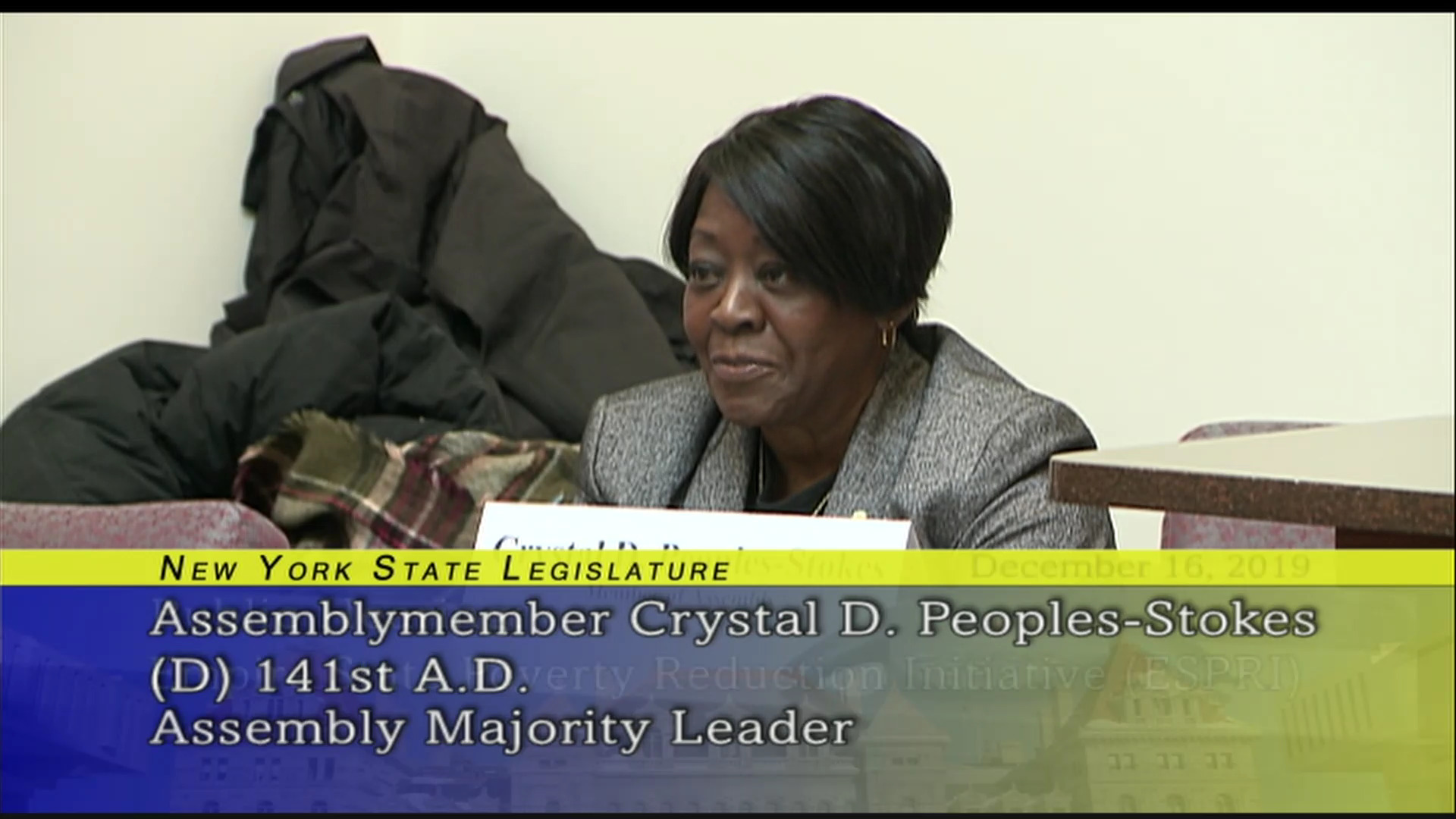 Public Hearing on the Empire State Poverty Reduction Initiative (2)