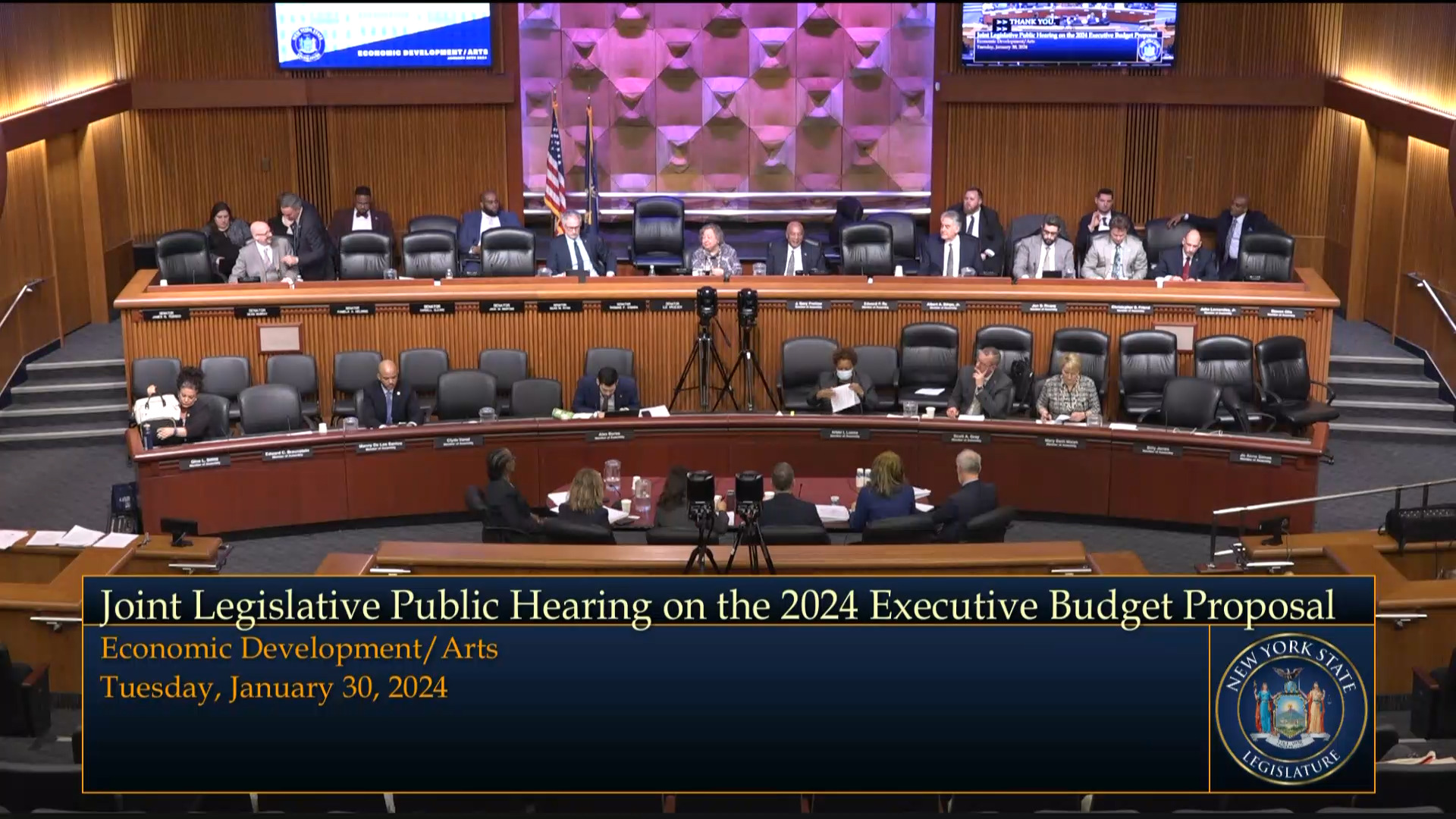 NYS Council on the Arts Director Testifies During Budget Hearing on Economic Development